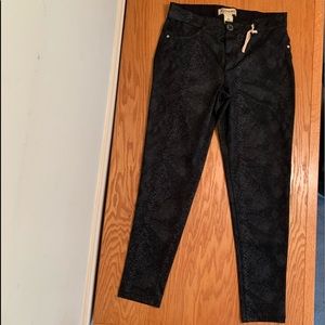 Democracy Ab Technology Animal Print Pants Size 8